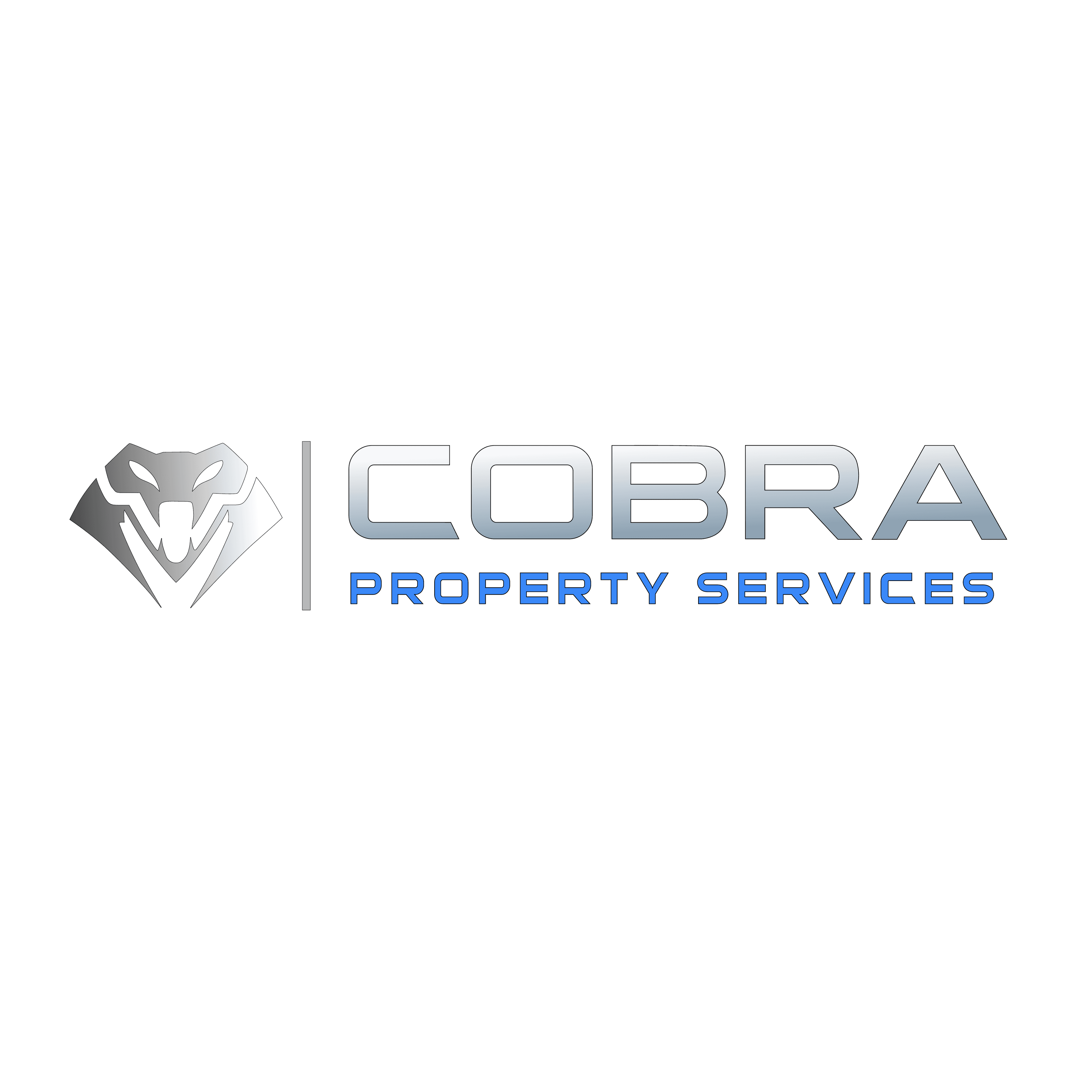 Metallic cobra head logo with COBRA PROPERTY SERVICES text in silver and blue.